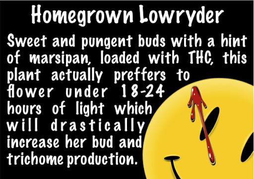 lowryder-page5.jpg