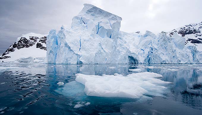 Antarctic 074 The Underwater World of Antarctica