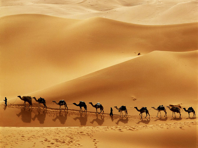 caravan Caravan in the Desert 