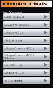 Free Download Fighter Birds APK for Android