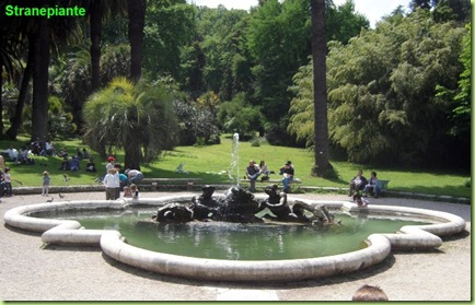 fontana dei tritoni roma