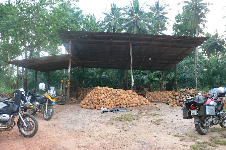P1100227.JPG