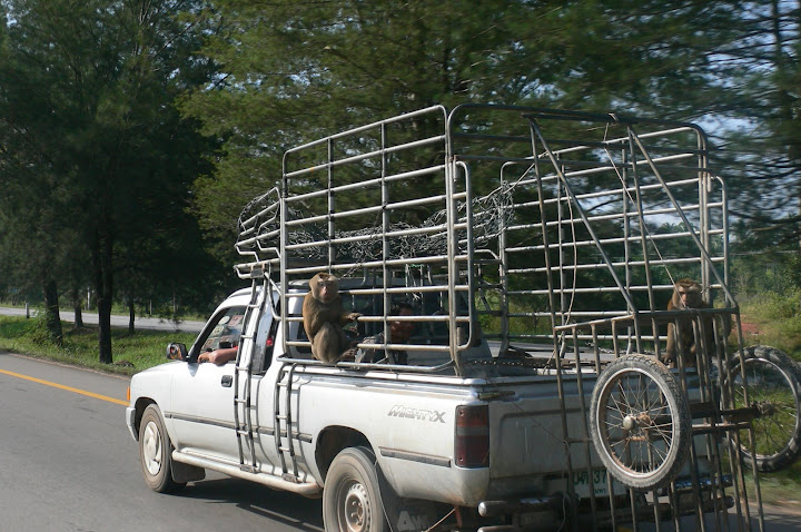P1100276.JPG