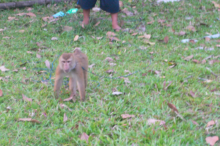 P1100269.JPG