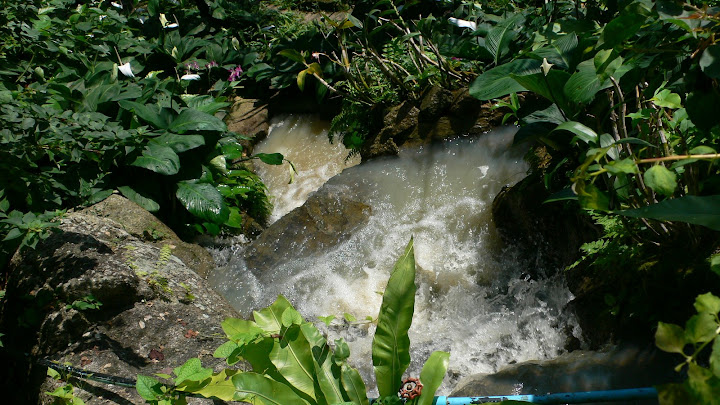 P1100521.JPG