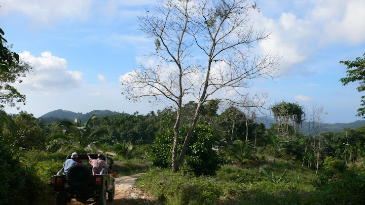 P1100576.JPG
