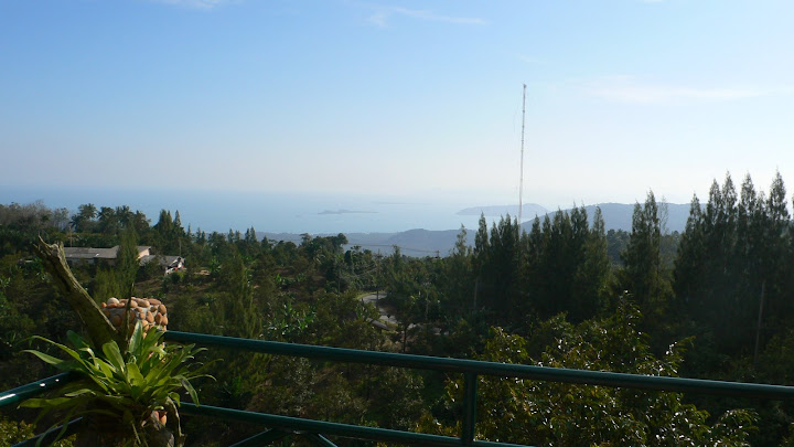 P1100582.JPG