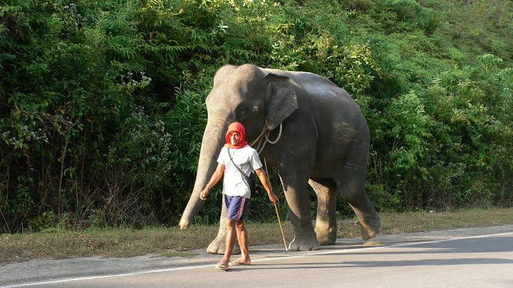 P1100644.JPG