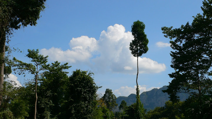 P1100639.JPG