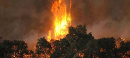 bushfires412