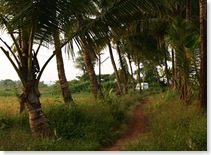 Goa village