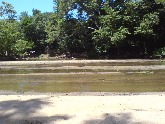 DSC00375.JPG