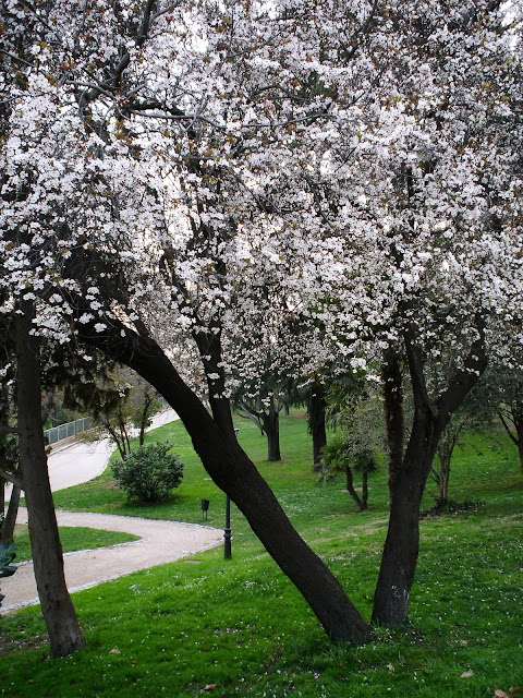 Cultiva tu mente: febrero 2011