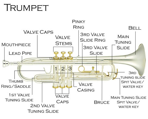 Trumpet-Description.jpg