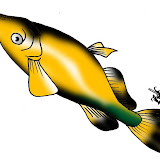MEDALHA.jpg