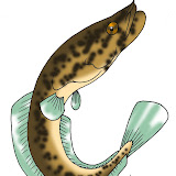 CABECA.jpg