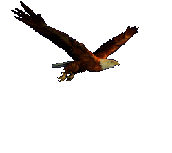 Animais%20-%20Aves%20%28143%29.png