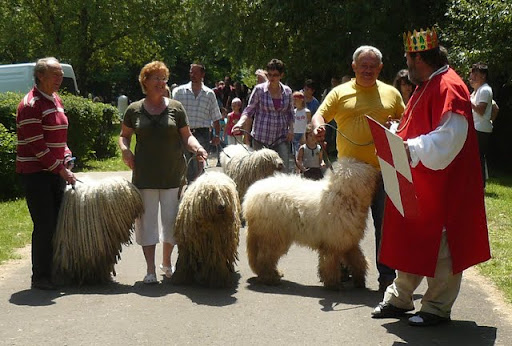 P1050891.JPG