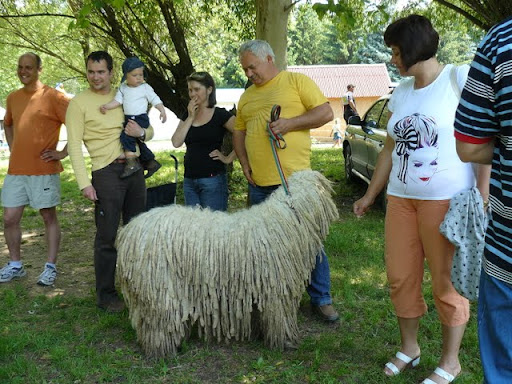 P1050866.JPG
