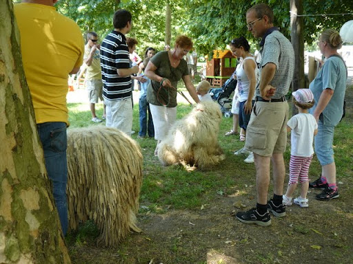P1050856.JPG