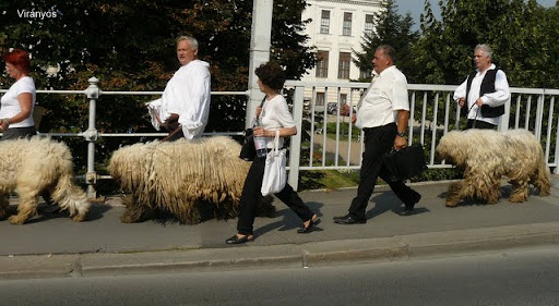 P1070331.JPG