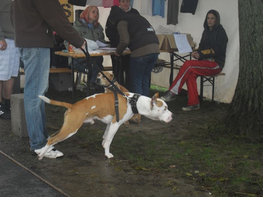 SDC10070.JPG