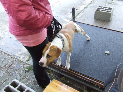 DSCF0136.JPG