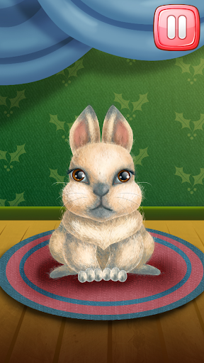 My Cute Rabbit