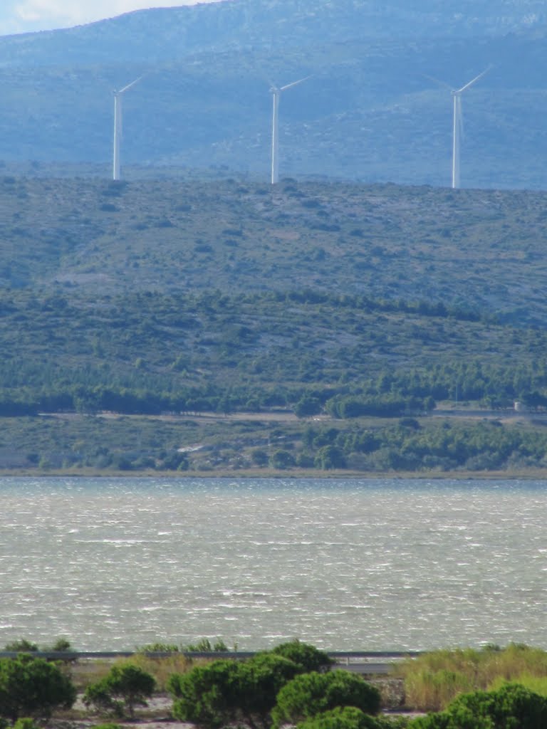 septembre 2010 061.jpg