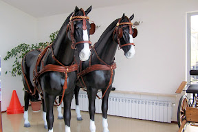 Leather horse harness style 12 carriage driving