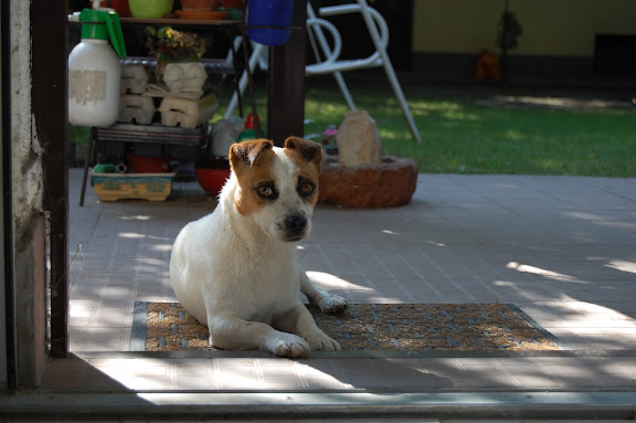 DSC_0169.JPG