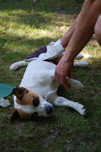 DSC_0358.JPG