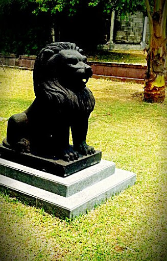 The Black Lion of Zeny Batalyon