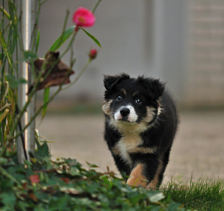 DSC_3828es.jpg