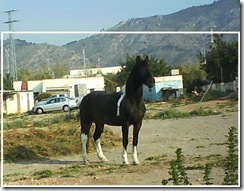 imagen2 imagen2