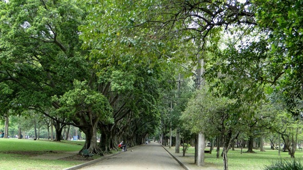 Parque do Ibirapuera