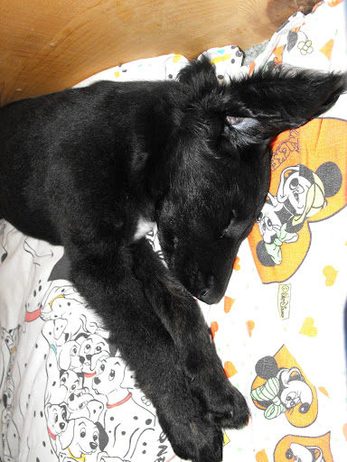 2010_04100075.JPG