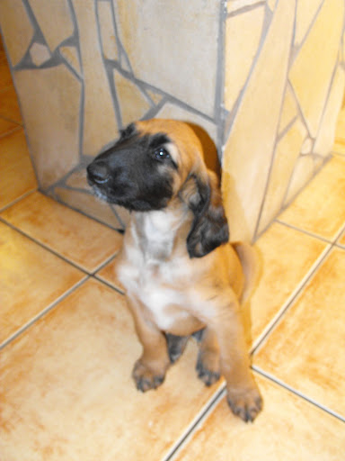 2010_04100087.JPG