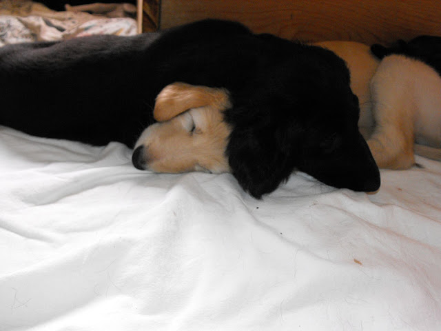 2010_04100052.JPG