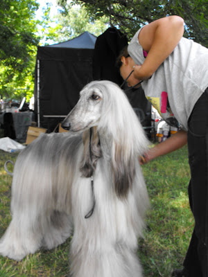 2009_07110016.JPG