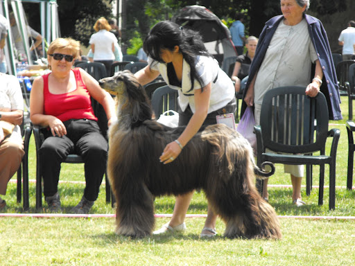 2009_07110027.JPG