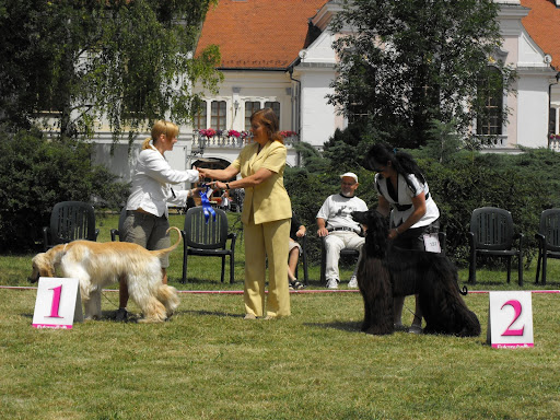 2009_07110077.JPG