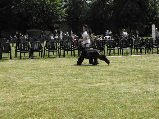2009_07110096.JPG
