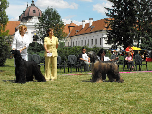 2009_07110107.JPG