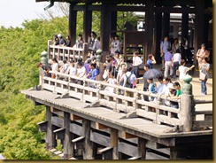 DSCF6795 DSCF6795