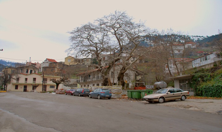 Στενή Εύβοιας---Close Evia.               Το χωριό Στενή Ευβοίας, σε υψόμετρο 500 μέτρα, απέχει  30 χλ. απο τήν Χαλκίδα