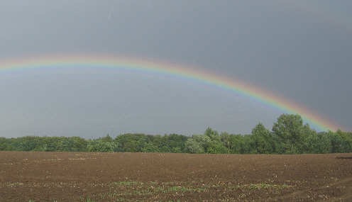 [Regenbogen[3].jpg]