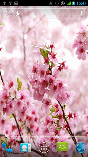 免費下載個人化APP|아름다운 벚꽃 app開箱文|APP開箱王