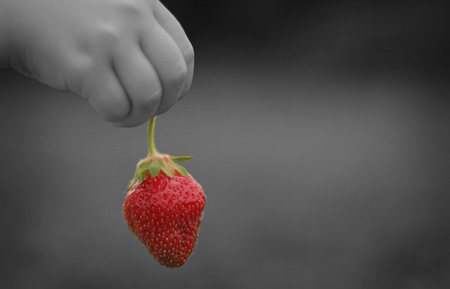 [Strawberry Field[4].jpg]