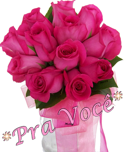 monypravc%27.%2C..png